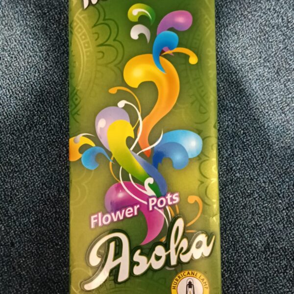 Flower Pot Asoka
